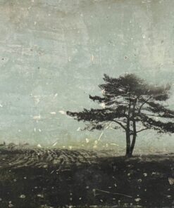 Deeply Rooted