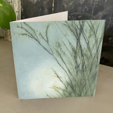 Grassy Bank